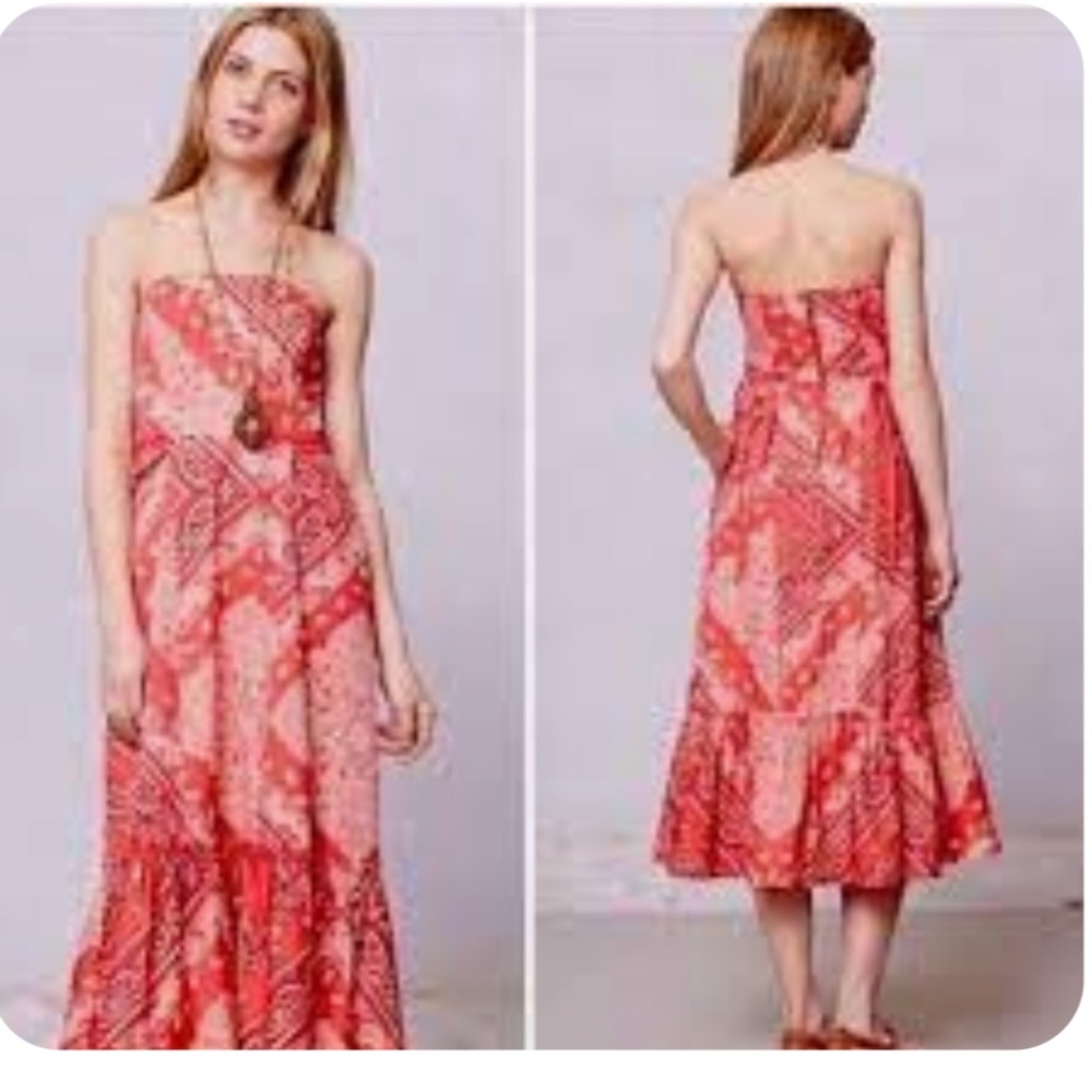 West Stable Holding Horses-Anthropologie dress
